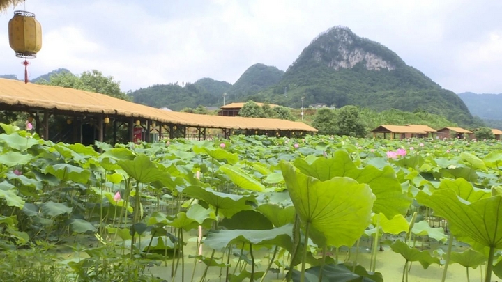 煥新升級(jí)后的普定縣水井村景區(qū).jpg