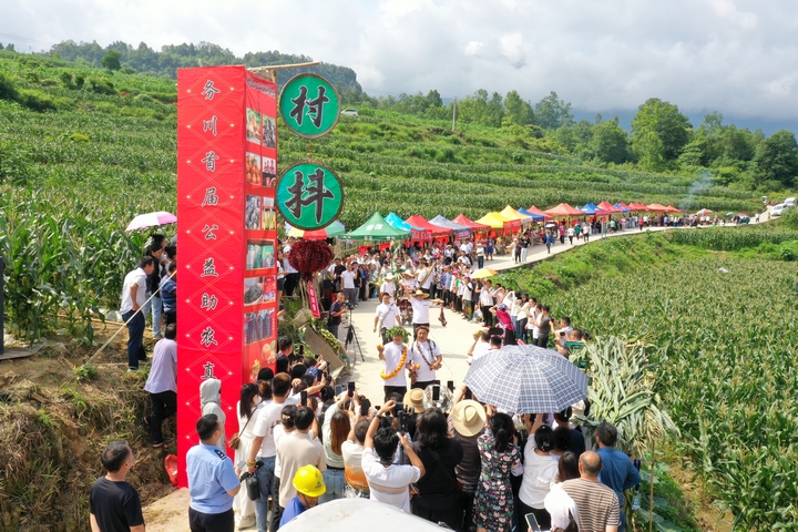 “村抖”助農(nóng)直播現(xiàn)場(chǎng)。鄒琴印攝.JPG