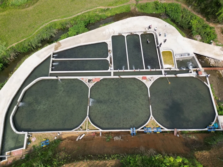 鸚鵡溪冷水魚基地.jpg