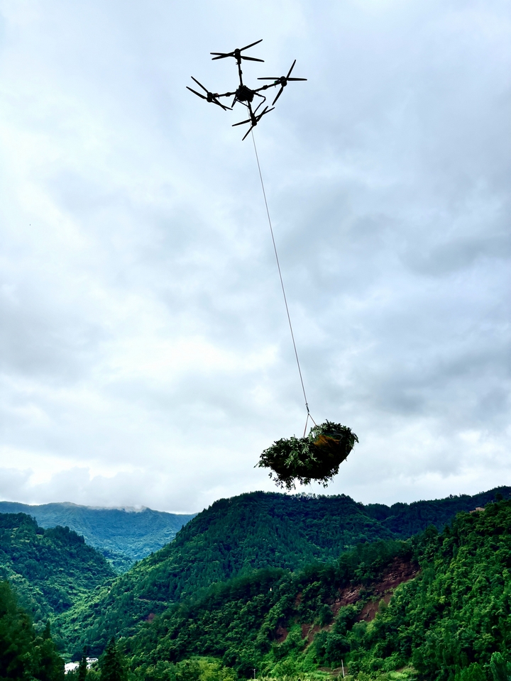 無人機精準懸停,套上花椒枝后騰空而起,穩(wěn)穩(wěn)掠過綠意盎然的山坳。羅金 攝.jpg