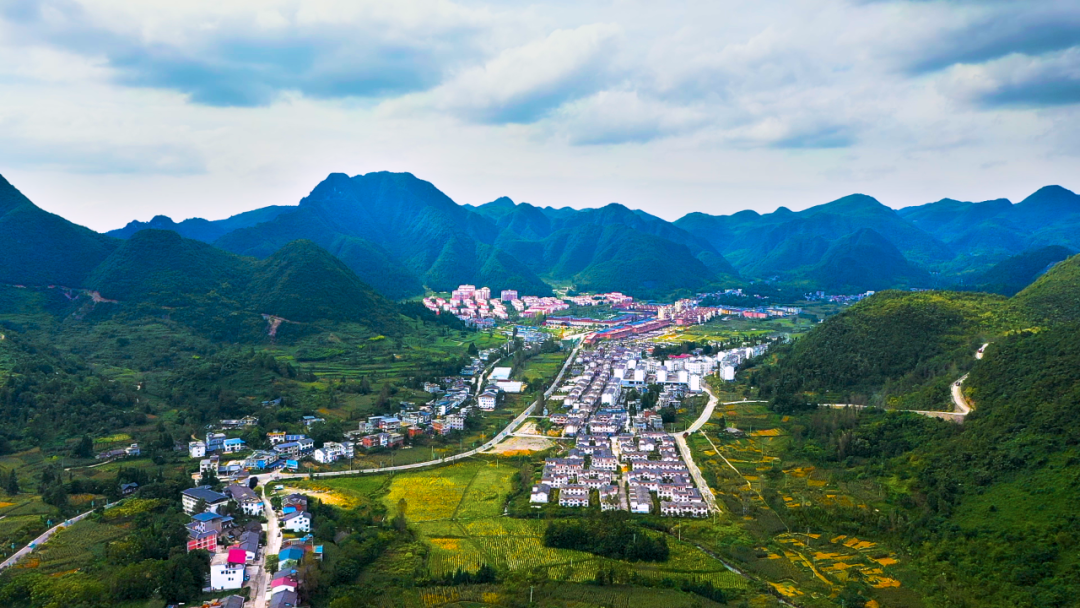 康養(yǎng)避暑。.png