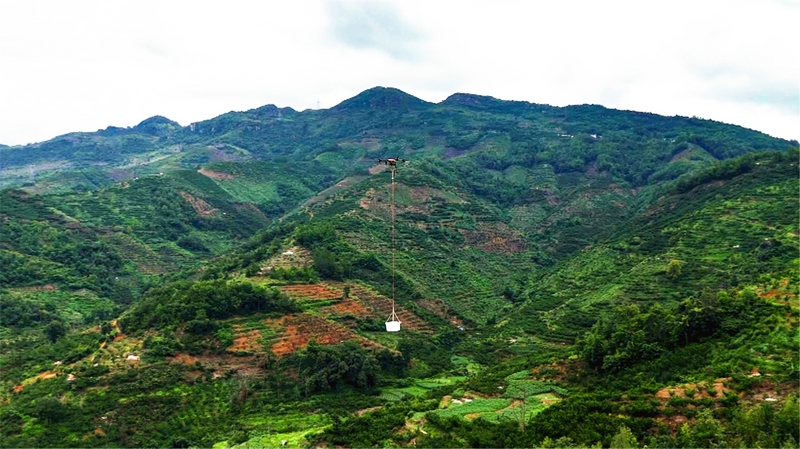 無人機(jī)在山間吊運(yùn)鎮(zhèn)寧蜂糖李。