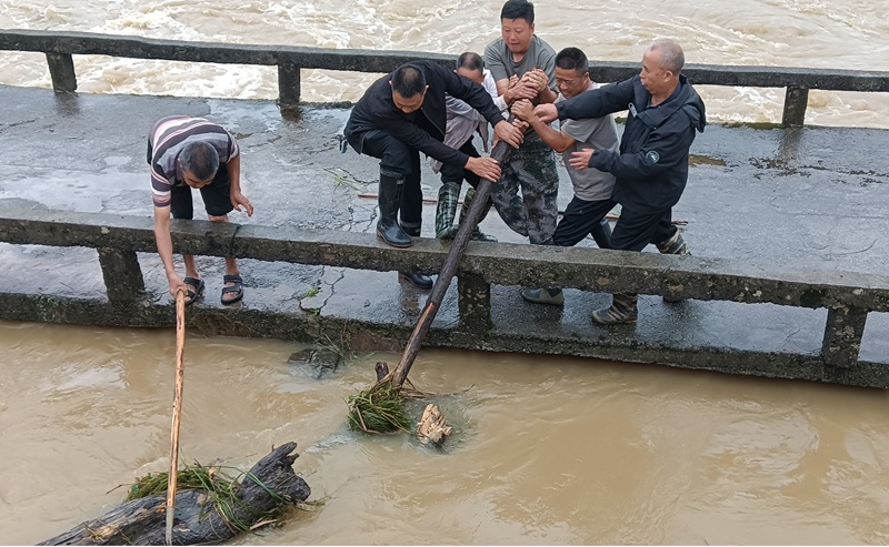 清理河道斷枝。