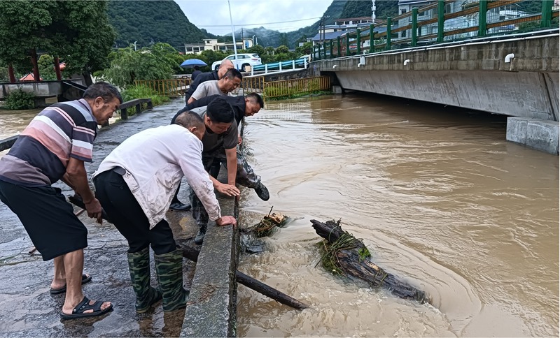 清理河道斷枝。
