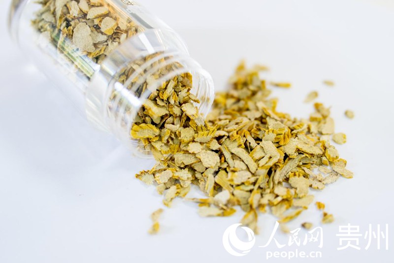 赤水石斛加工企業(yè)生產(chǎn)的石斛飲片。人民網(wǎng)記者 涂敏攝