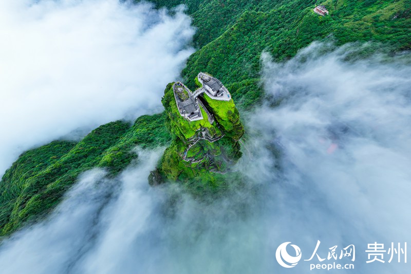航拍貴州梵凈山生態(tài)。人民網(wǎng)記者 涂敏攝