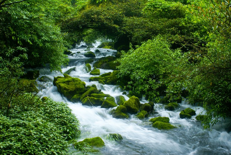 茂蘭自然保護(hù)區(qū)——青龍澗。柏祥意攝