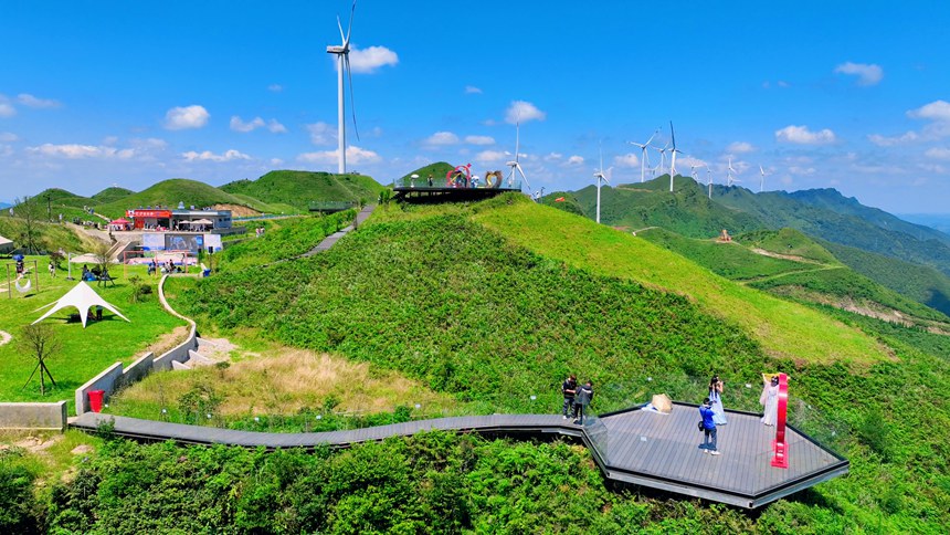 玉簪花云海景區(qū)一隅。李杰攝