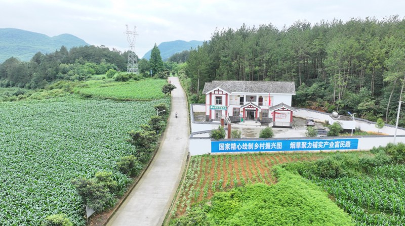 畢節(jié)市田壩橋鎮(zhèn)硝灰洞村干凈的道路。