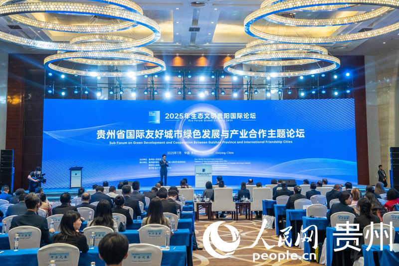 論壇現(xiàn)場。人民網(wǎng) 陽茜攝