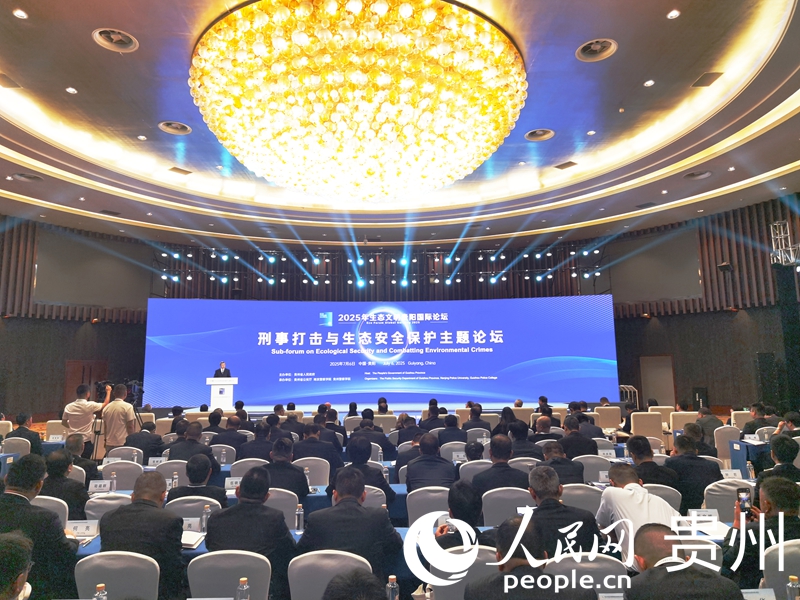 論壇現(xiàn)場。人民網(wǎng)記者 王秀芳攝