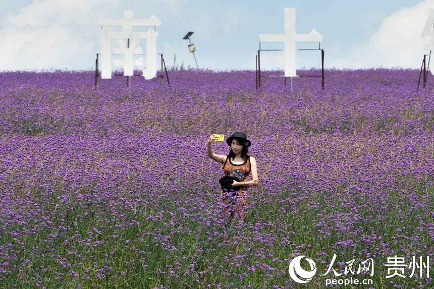 游人站在花田步道內(nèi)拍照打卡。人民網(wǎng) 陽(yáng)茜攝