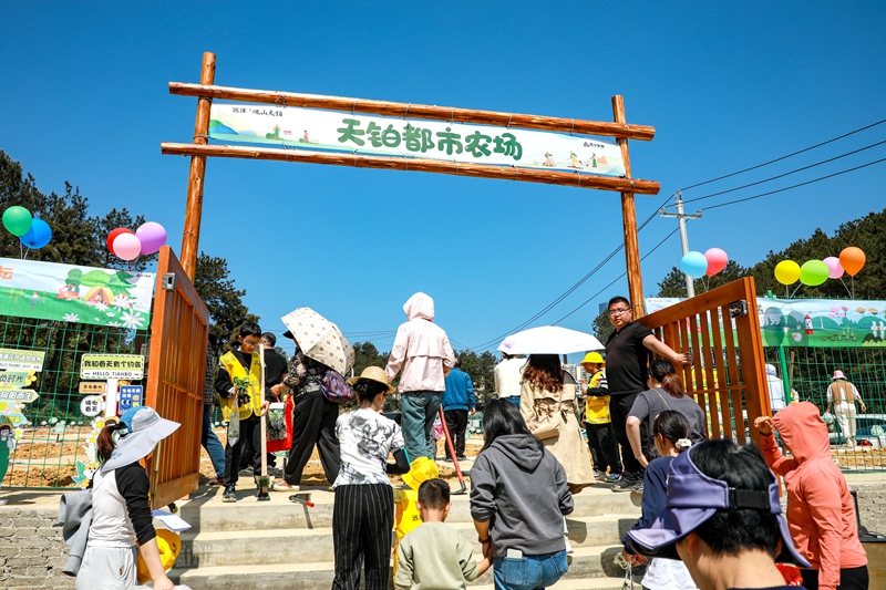 觀山天鉑都市農(nóng)場。張婷攝