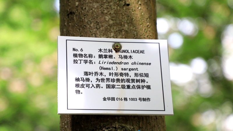 楊龍為小區(qū)里的樹制作了專屬“身份證”。廖興丹攝