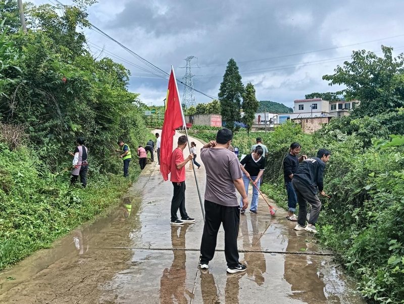 重新鎮(zhèn)八角村村支兩委組織保潔員清理路邊雜草。