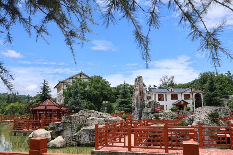 七星關(guān)區(qū)竹園鄉(xiāng)歹雞村。