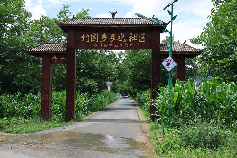 七星關(guān)區(qū)竹園鄉(xiāng)歹雞村道路干凈整潔。