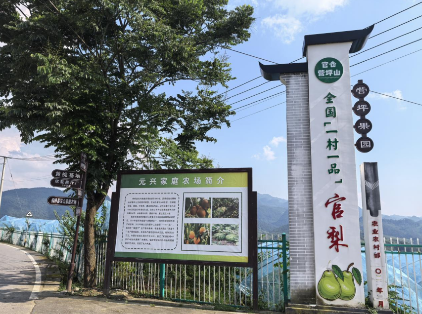 現(xiàn)代農(nóng)業(yè)示范基地。