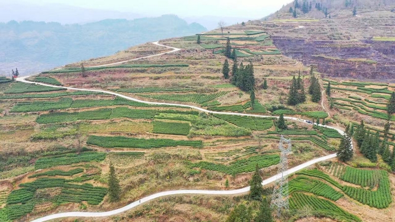新景鎮(zhèn)姚溪村基地。