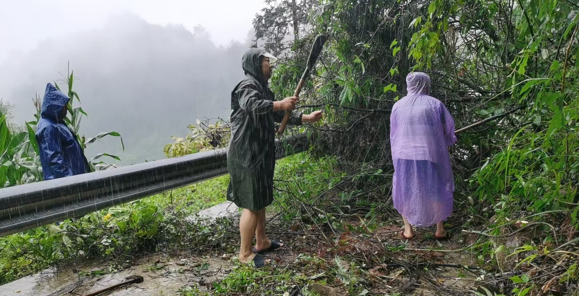雨中黨員干部清理路障保障通行。胡倩攝