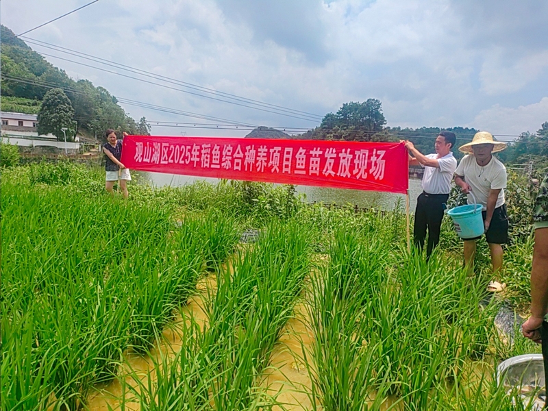 7月4日至8日，觀山湖區(qū)農(nóng)業(yè)水利服務(wù)中心在百花湖鎮(zhèn)、朱昌鎮(zhèn)、金華鎮(zhèn)進(jìn)行魚(yú)苗發(fā)放工作。