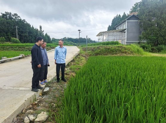 貴州省農(nóng)科院水稻所專家賦能水稻大面積單產(chǎn)提升.