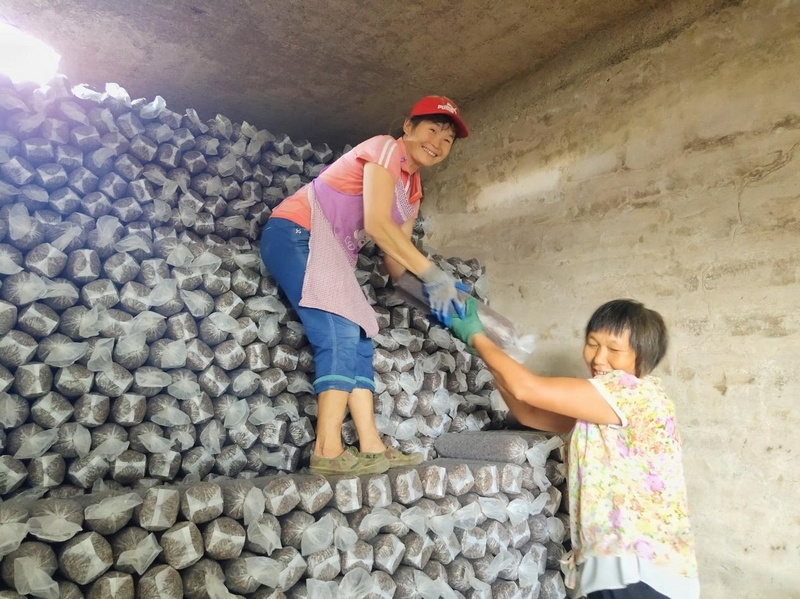 農(nóng)戶正在搬運(yùn)生態(tài)農(nóng)產(chǎn)品。