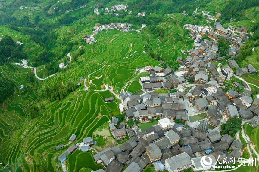 航拍堂安侗寨梯田。人民網(wǎng) 陽茜攝