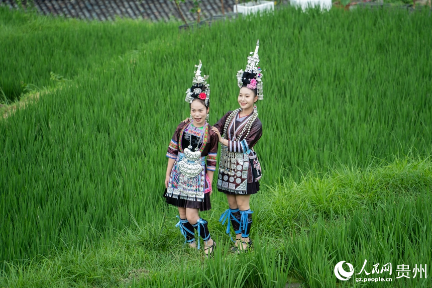 侗族姑娘走在風(fēng)景如畫的梯田內(nèi)。人民網(wǎng) 陽茜攝