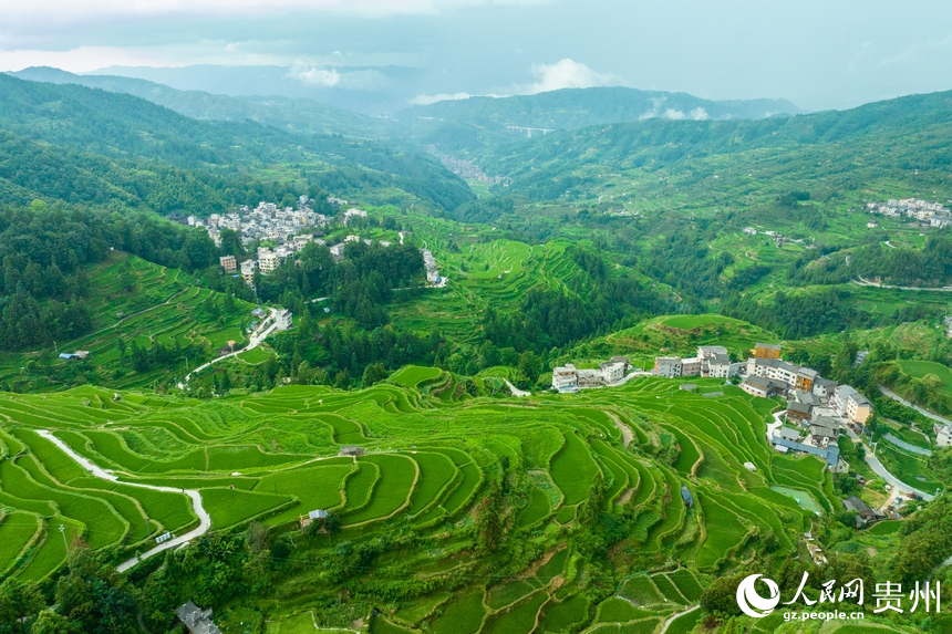 航拍堂安侗寨梯田。人民網(wǎng) 陽(yáng)茜攝