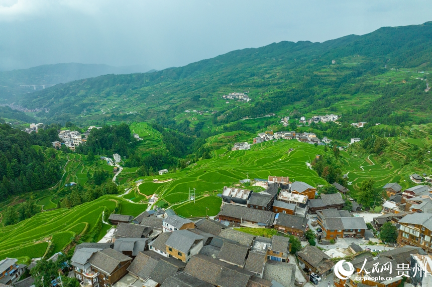 航拍堂安侗寨梯田。人民網(wǎng) 陽茜攝