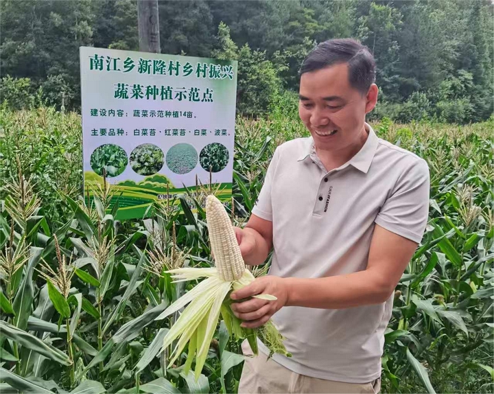 種植示范點(diǎn).jpg