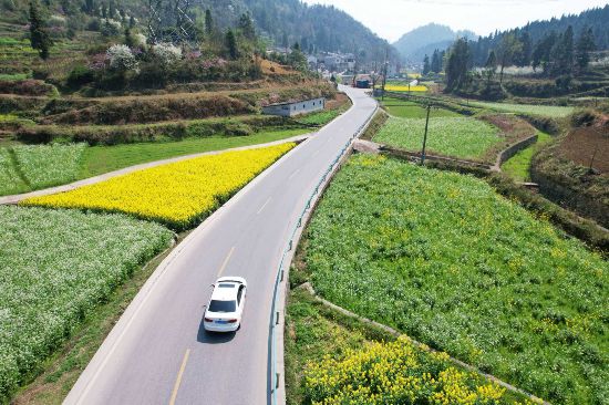 S206線爛塘路段。潘茜攝